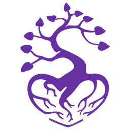 Financial Flow Systems and Solutions